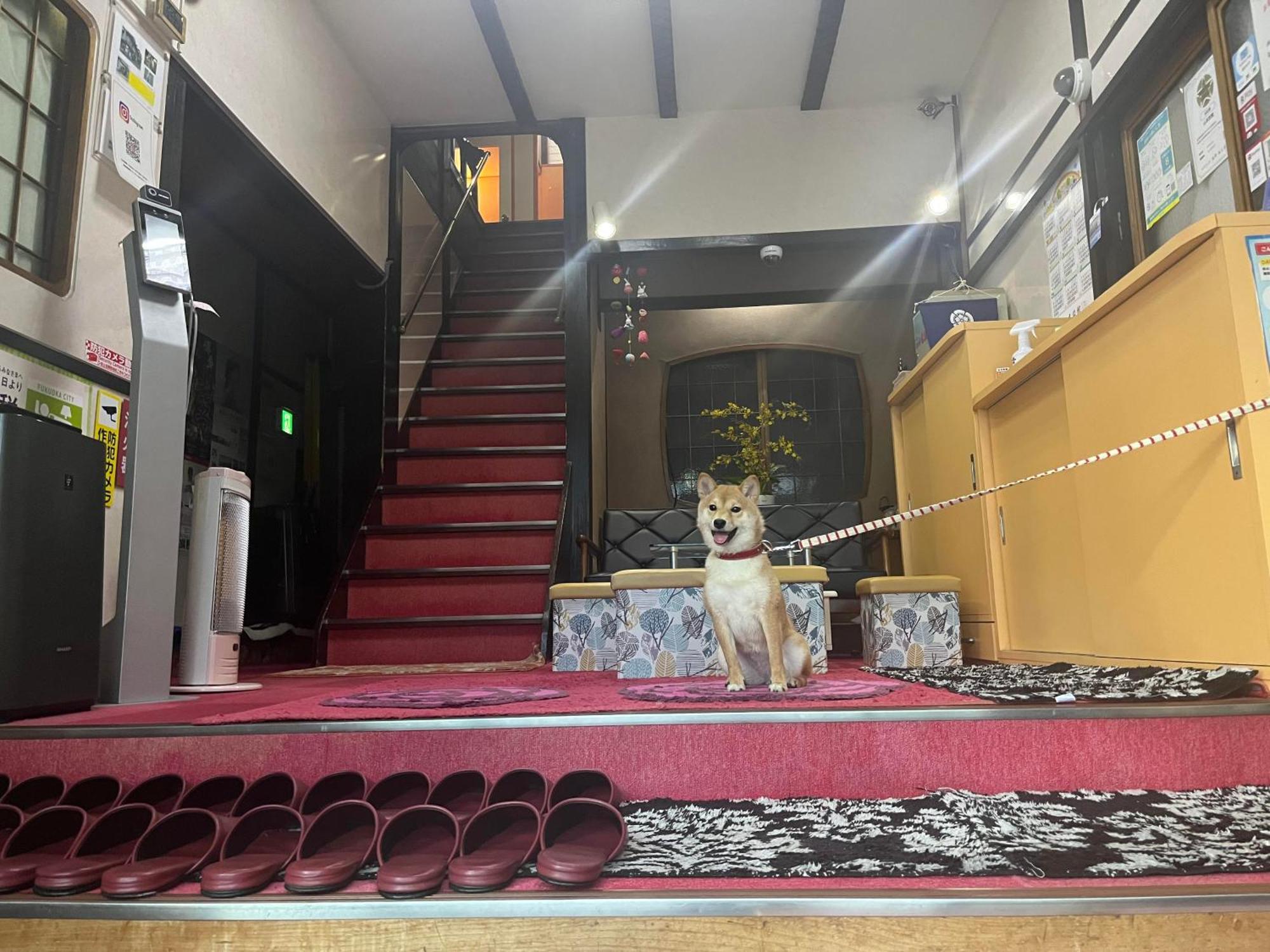 Yamamoto Ryokan Fukuoka  Esterno foto